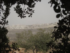 Israeli Settlement