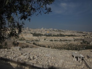 The Old City can be seen from the Mount of Olives.