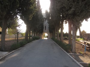 The entrance is flanked by trees.