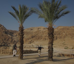 The caves were found above the site.