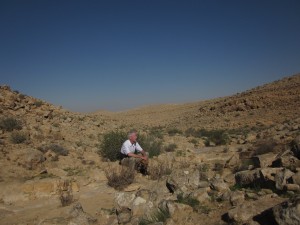 In the wadi I found pools of water.