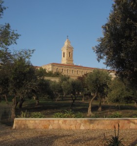 The Pater Noster Church has an olive garden.